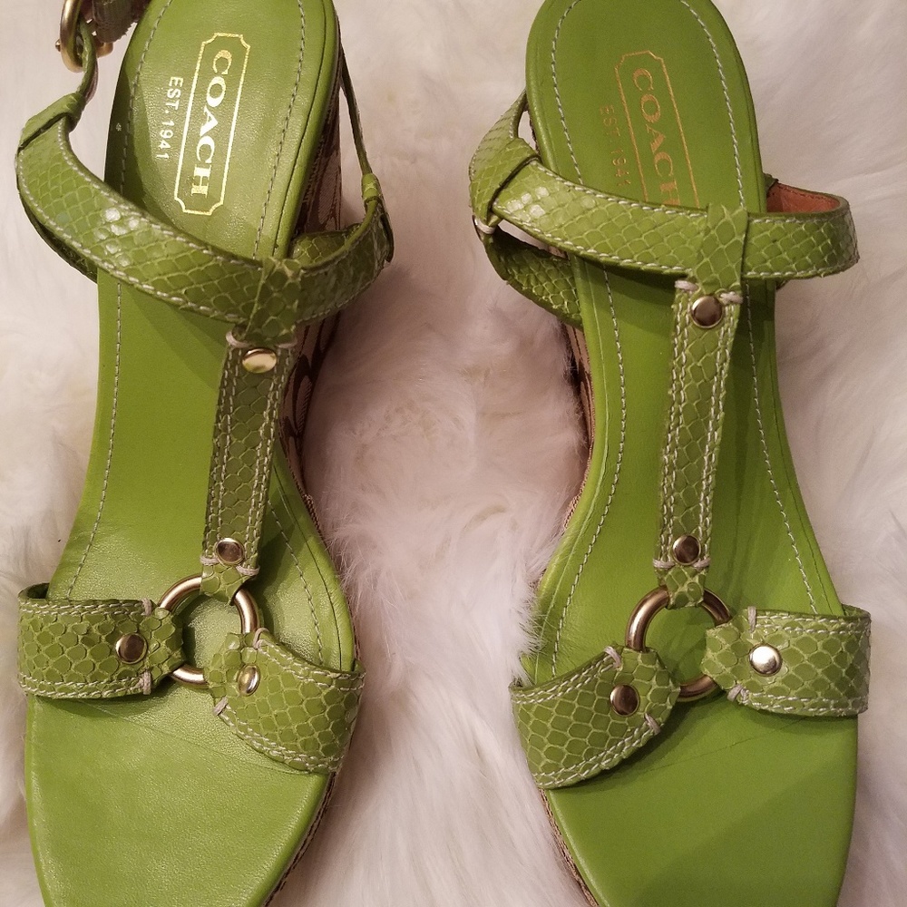 Coach Shoes ..Fabulous..
